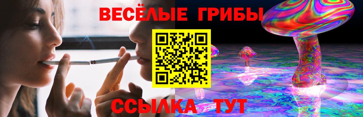 Псилоцибиновые грибы мицелий Воркута