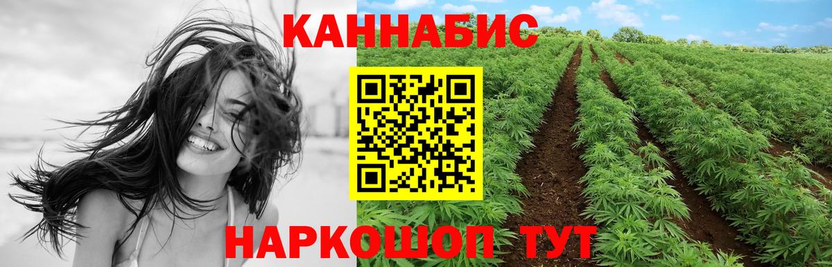 Канабис семена Воркута